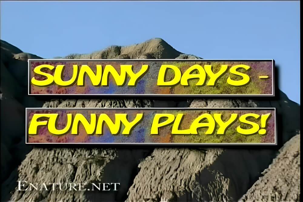 Enature - Sunny Days – Funny Plays - It is a way to strengthen inner harmony and peace
