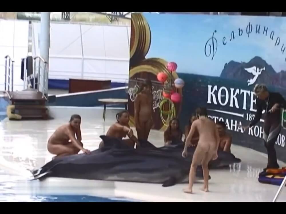 Relaxing at the dolphinarium - The desire to connect with nature and be unclothed